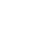 WordPress-Customization